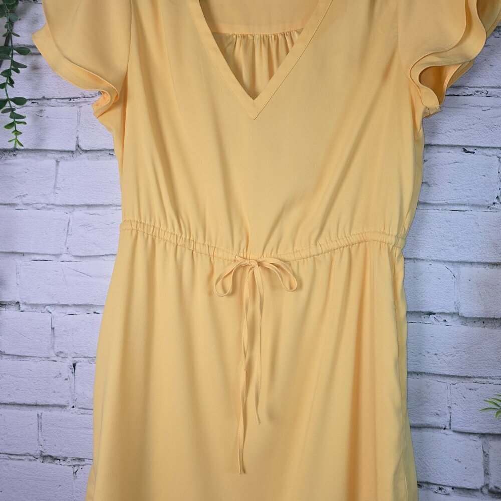 GOODTHREADS BUTTERY YELLOW COTTON KNIT SHIRT DRESS FLUTTER SLEEVE CINCH WAIST M - Picture 5 of 11